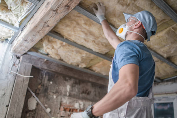 Best Insulation Inspection Services  in Keary, NE