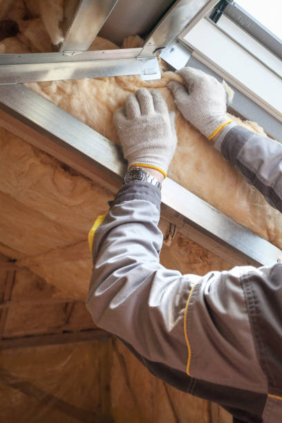 Insulation Inspection Services in Kearney, NE