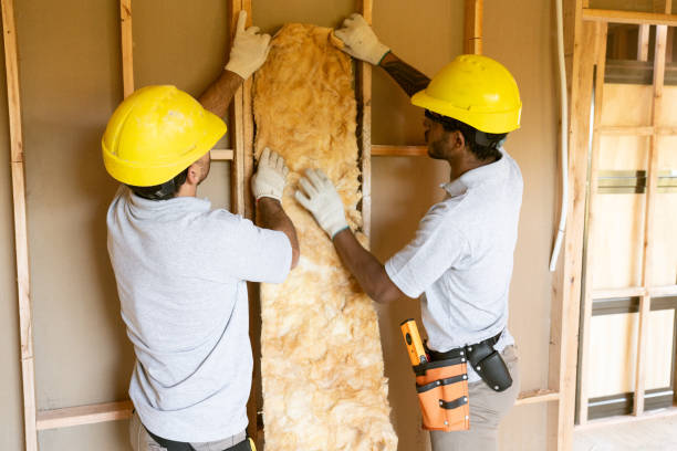 Best Insulation Inspection Services  in Keary, NE