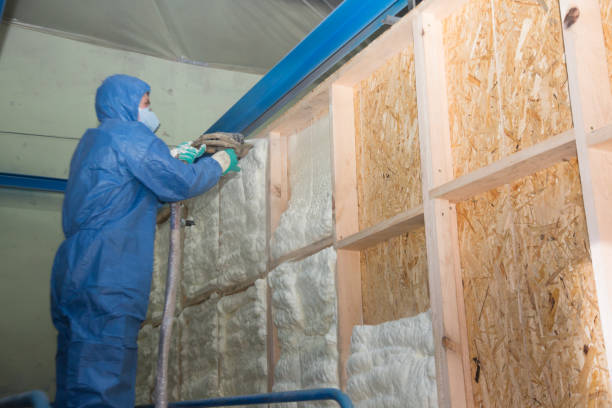 Best Wall Insulation Contractor  in Keary, NE